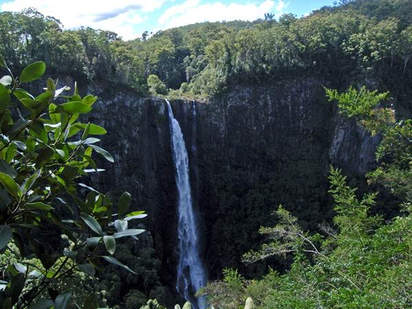 Ellenborough Falls (28/02/2013 4:34:27 PM)