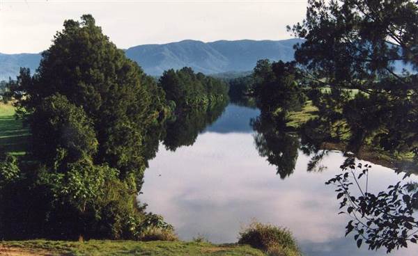 Bellinger River (28/02/2013 8:56:04 PM)