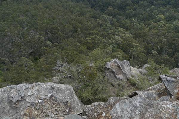 Blackheath - Amphitheatre Lookout (1/03/2013 10:31:04 AM)