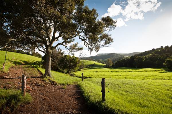 Jamberoo (1/03/2013 11:33:58 AM)