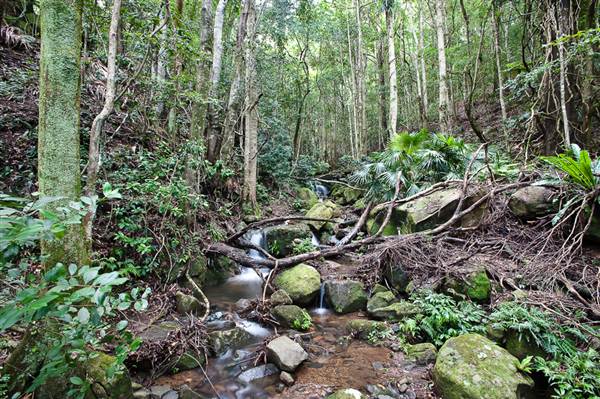 Jamberoo (1/03/2013 11:34:33 AM)