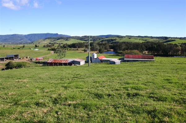 Jamberoo (1/03/2013 11:37:15 AM)