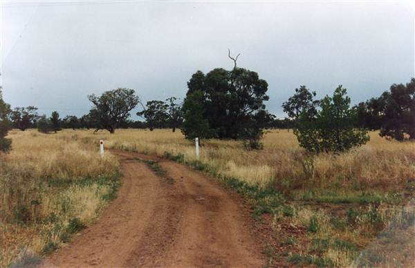 Bourke & Environs (1/03/2013 11:41:00 AM)