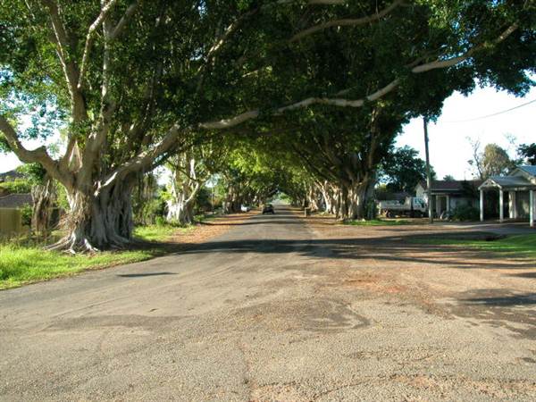 Briemba St, Grafton (1/03/2013 12:06:20 PM)