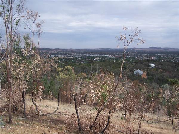 Wagga Wagga (1/03/2013 12:06:43 PM)
