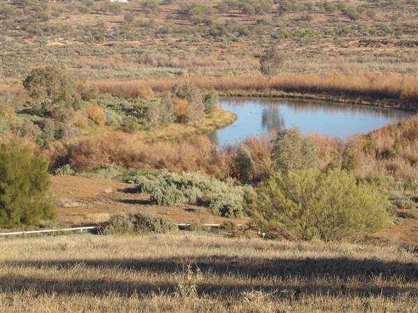 Broken Hill Area (1/03/2013 7:30:43 PM)