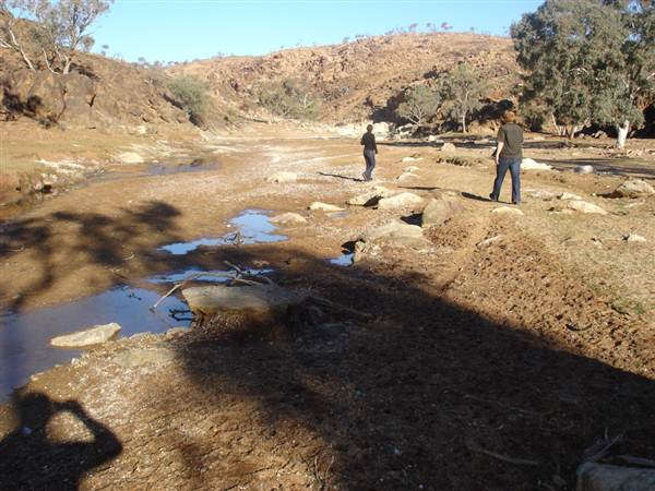 Broken Hill Area (1/03/2013 7:34:01 PM)
