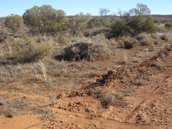 Broken Hill Area (1/03/2013 7:36:24 PM)