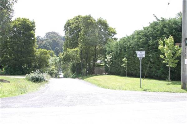 Burrawang - Southern Highlands (2/03/2013 9:49:00 PM)