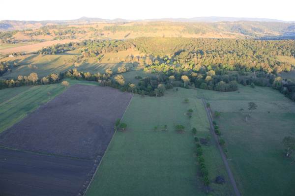 Byron Hinterland-Hot Air Balloon (2/03/2013 10:58:13 PM)