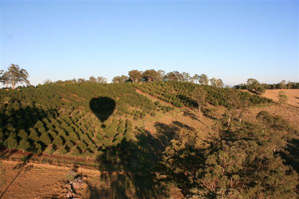 Byron Hinterland-Hot Air Balloon (2/03/2013 10:59:13 PM)