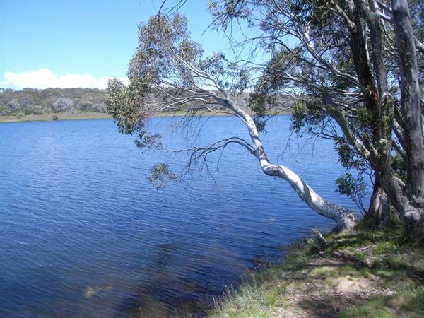 Cabramurra (2/03/2013 11:30:59 PM)