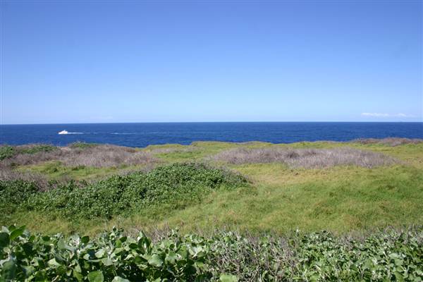 Cape Banks (3/03/2013 8:27:29 AM)