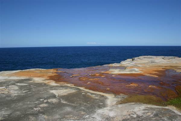 Cape Banks (3/03/2013 8:28:01 AM)