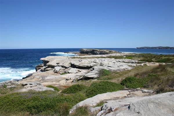 Cape Banks (3/03/2013 8:28:33 AM)