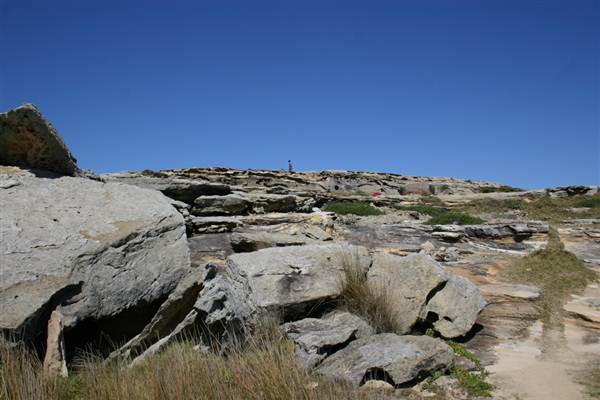 Cape Banks (3/03/2013 8:29:42 AM)