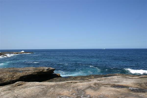 Clovelly Bay (3/03/2013 4:34:26 PM)