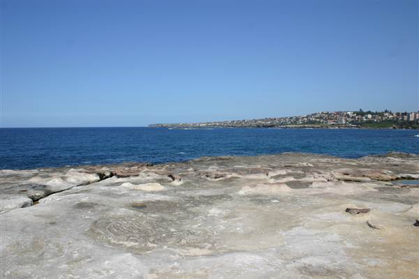 Clovelly Bay (3/03/2013 4:35:23 PM)