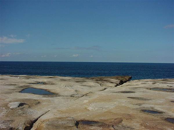 Clovelly Bay (3/03/2013 4:35:49 PM)