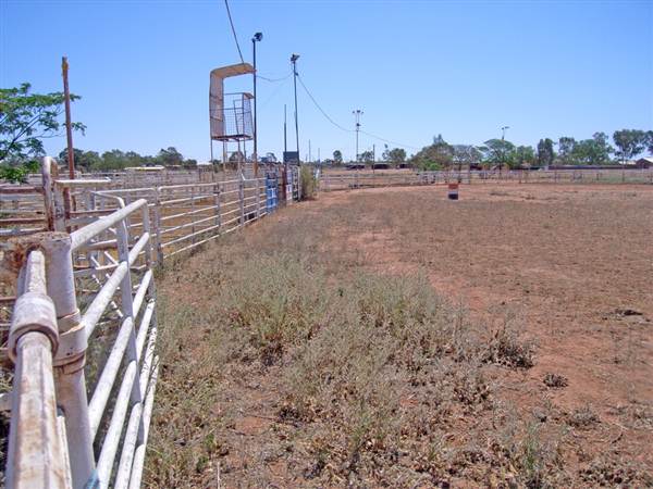 Cobar (4/03/2013 9:33:25 AM)