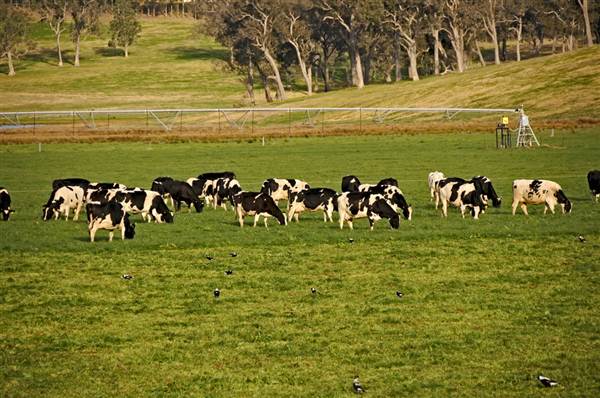 Eurobodalla Area (4/03/2013 1:45:03 PM)