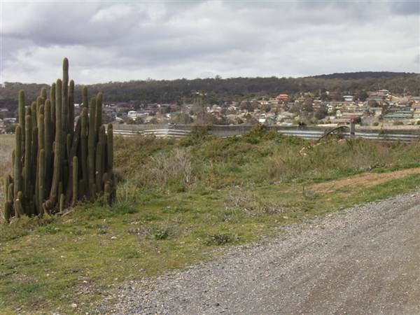 Goulburn Brewery (5/03/2013 11:16:51 AM)