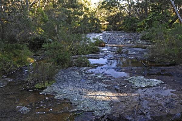 Green Patch Campground - Booderee National Park (5/03/2013 11:27:13 AM)