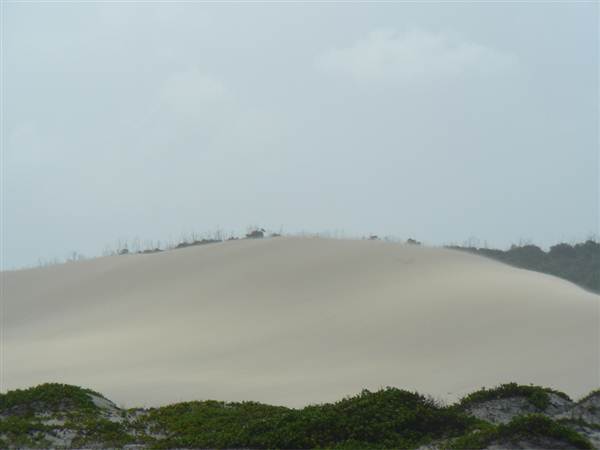 Killick Beach & Sand Dunes - Hat Head National Park (5/03/2013 7:30:00 PM)