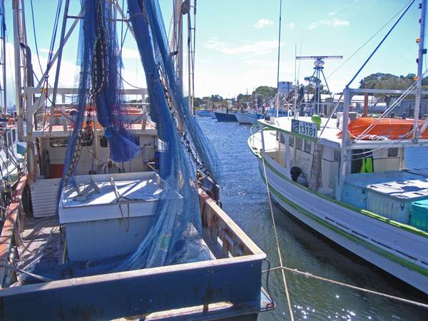Iluka (5/03/2013 8:34:25 PM)