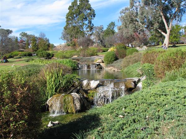 Japanese Gardens Cowra (5/03/2013 10:02:50 PM)