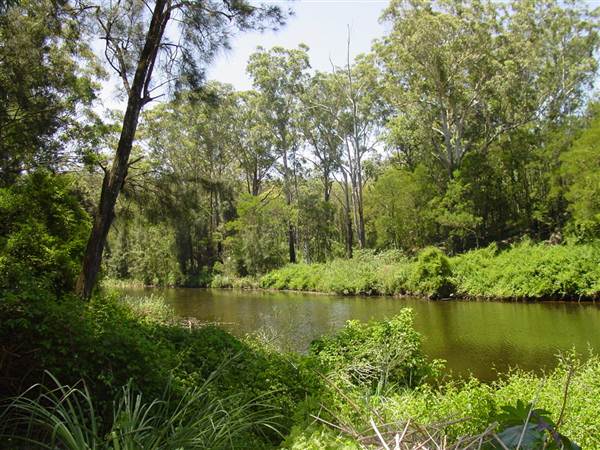 Lane Cove National Park (6/03/2013 12:11:14 PM)