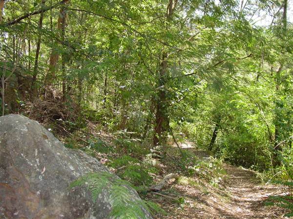 Lane Cove National Park (6/03/2013 12:11:44 PM)