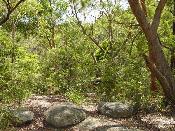 Lane Cove National Park (6/03/2013 12:14:06 PM)