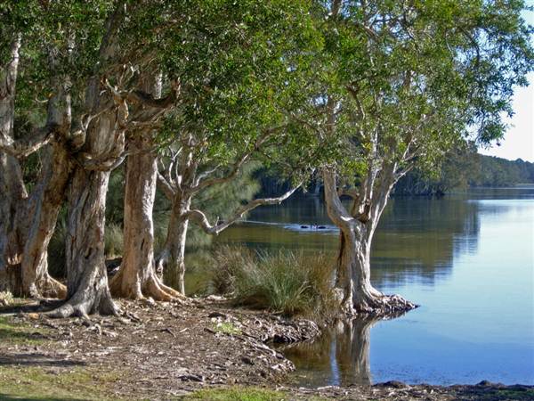Mungo Brush - Myall Lakes National Park (6/03/2013 3:17:31 PM)
