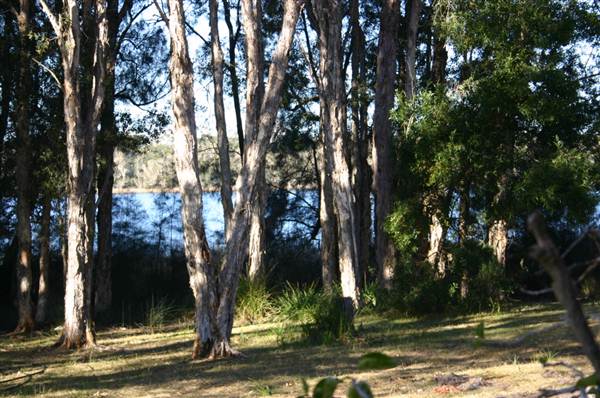 Myall Lakes National Park (6/03/2013 3:26:25 PM)