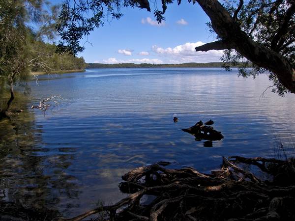 Myall Lakes National Park (6/03/2013 3:30:48 PM)