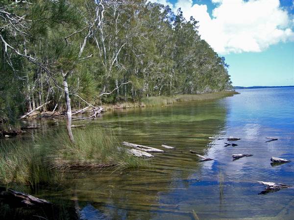 Myall Lakes National Park (6/03/2013 3:31:31 PM)