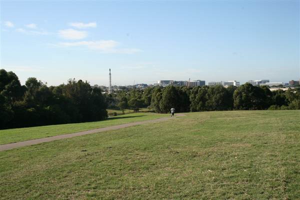 Sydney Park (6/03/2013 4:45:15 PM)