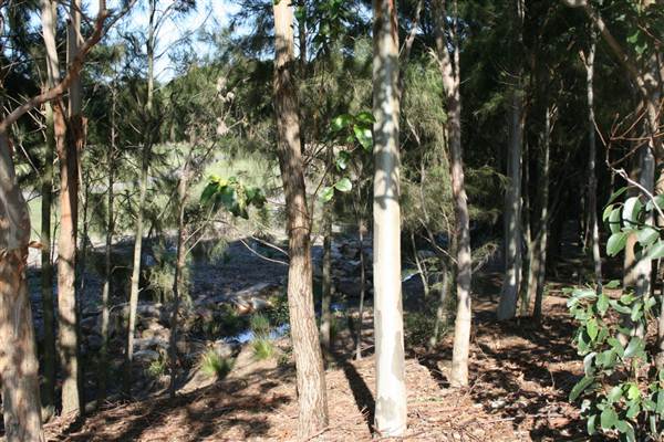 Sydney Park (6/03/2013 4:45:51 PM)