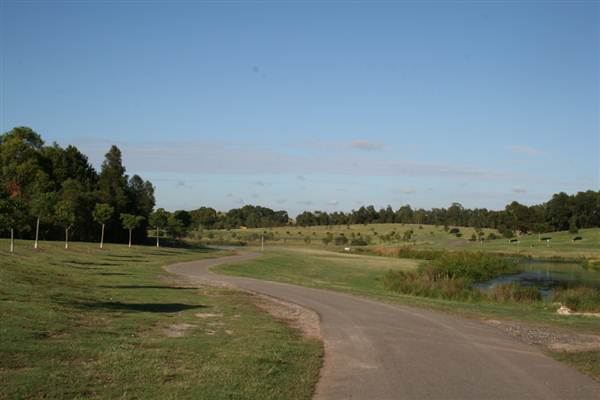 Sydney Park (6/03/2013 4:46:48 PM)