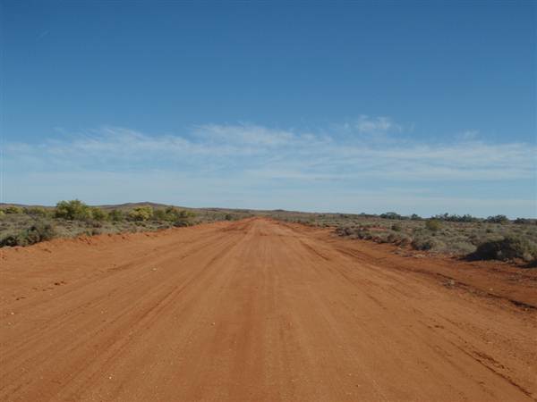 Nine Mile Road, 2012 (7/03/2013 4:20:09 AM)