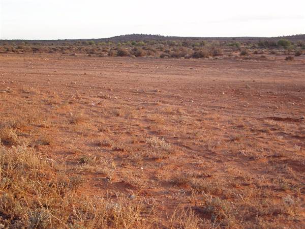 Pinnacles - Broken Hill (7/03/2013 6:27:56 AM)