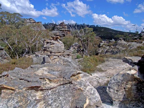 Lithgow Cliffs (7/03/2013 9:39:59 AM)
