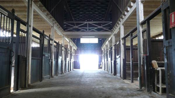 Lomar Park Stud (7/03/2013 10:01:49 AM)