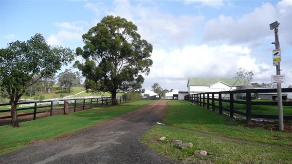 Lomar Park Stud (7/03/2013 10:03:38 AM)