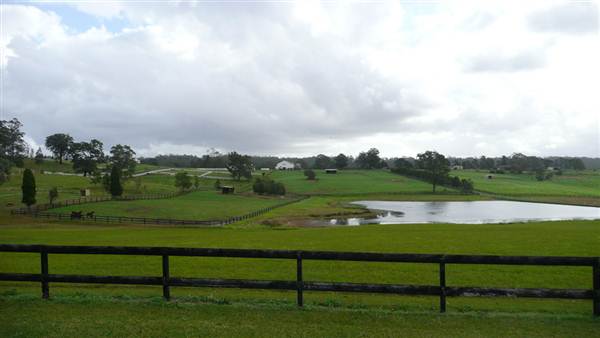 Lomar Park Stud (7/03/2013 10:03:58 AM)