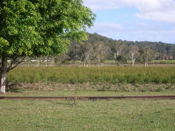 Tea Tree Estate (7/03/2013 12:11:02 PM)