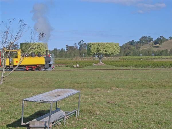 Tea Tree Estate (7/03/2013 12:11:37 PM)