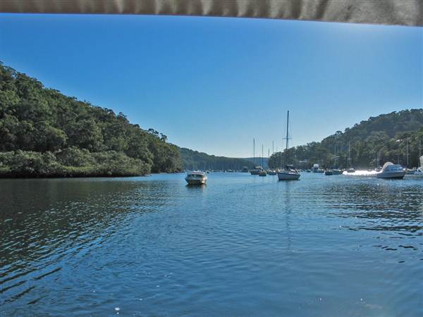 McCarrs Creek Reserve (7/03/2013 12:58:49 PM)