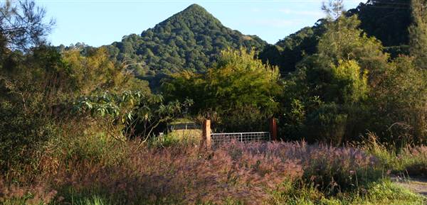 Mullumbimby Area (7/03/2013 1:53:00 PM)